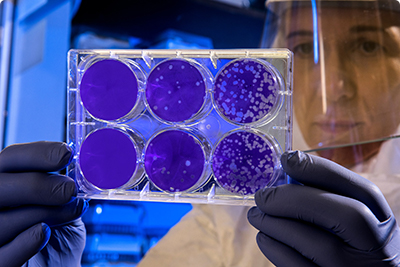 Missions d'Audit et Diagnostics de Conformité dans les Laboratoires Vétérinaires : Résultats et Recommandations